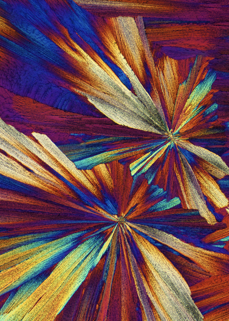 Essential Amino Acids Explained